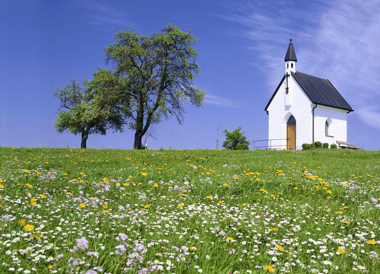 Gods washing Machine